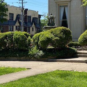 Meet your Posher, Amiyah